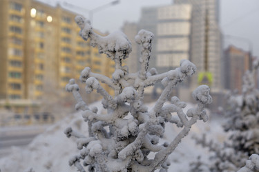 Similar image 21691044