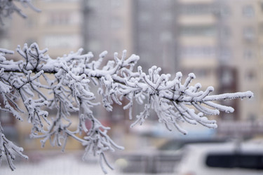 Similar image 21691045