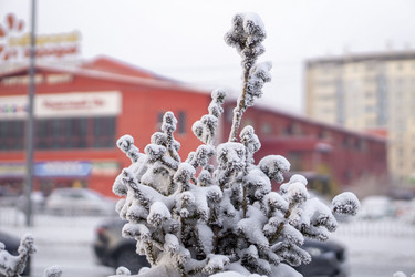 Similar image 21691046