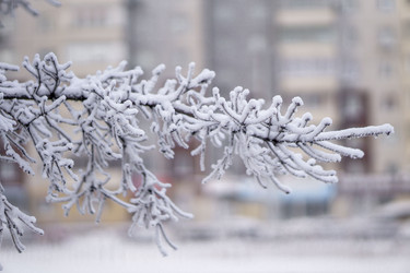 Similar image 21691047