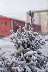 Similar image 21691049