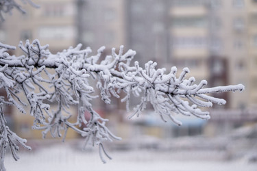 Similar image 21691050