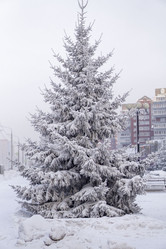 Similar image 21691051