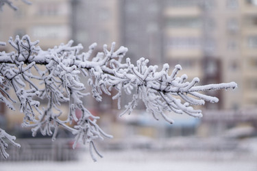 Similar image 21691052