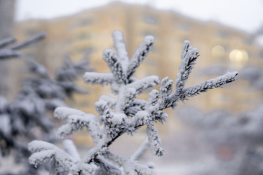 Similar image 21691054