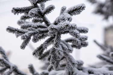 Similar image 21691055