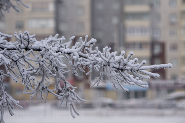 Similar image 21691057