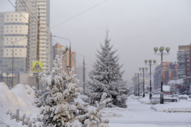 Similar image 21691058