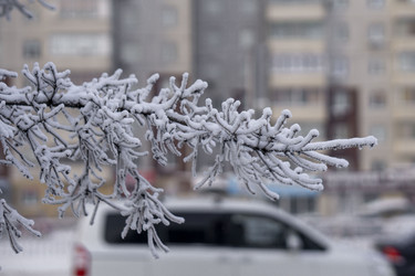 Similar image 21691059