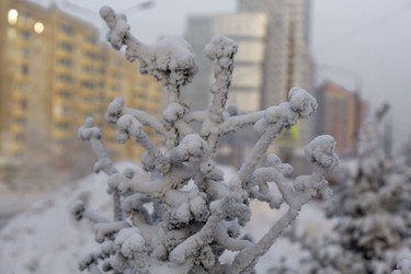 Similar image 21691060