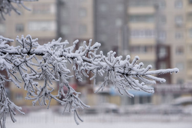 Similar image 21691061