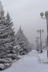 Similar image 21691065