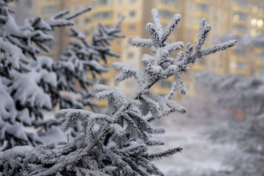 Similar image 21691066