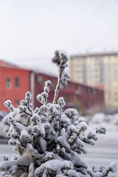 Similar image 21691067