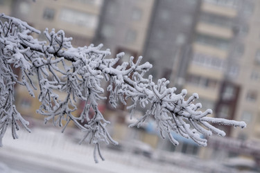 Similar image 21691068