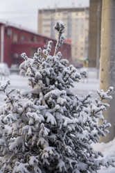 Similar image 21691069