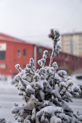 Similar image 21691070