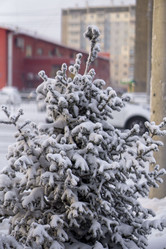 Similar image 21691071