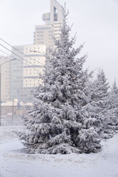 Similar image 21691072