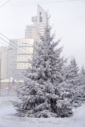 Similar image 21691073