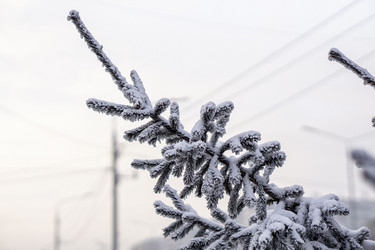 Similar image 21691075