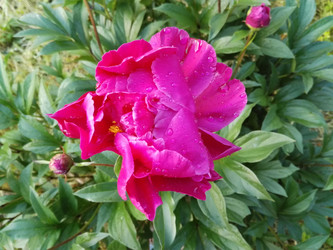 Similar image 21692169