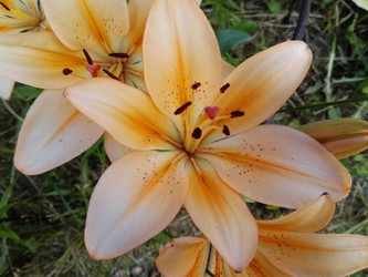 Similar image 21690649