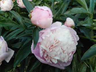 Similar image 21692170