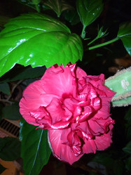 Similar image 21690651