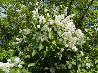 Similar image 21690652