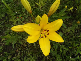 Similar image 21691160