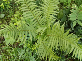 Similar image 21690653