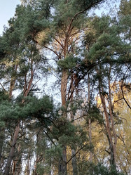 Similar image 21690656