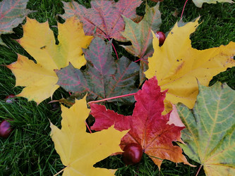 Similar image 21690657