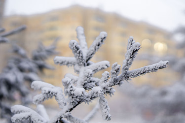 Similar image 21697320