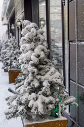 Similar image 21697322