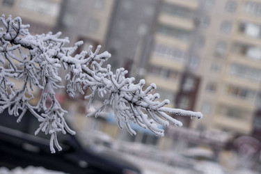 Similar image 21697323