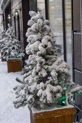 Similar image 21697324