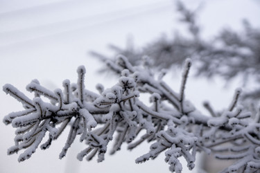 Similar image 21697325