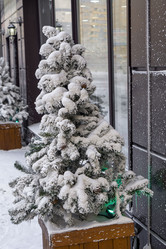 Similar image 21697326