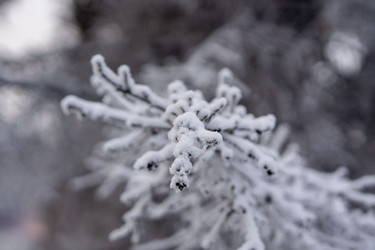 Similar image 21697327