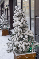 Similar image 21697328