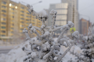 Similar image 21697329