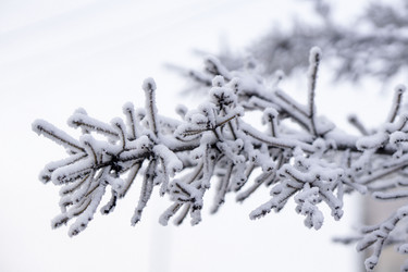 Similar image 21697330