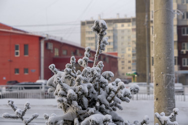 Similar image 21697331