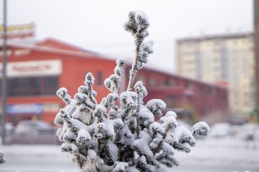 Similar image 21697332