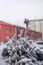 Similar image 21697333