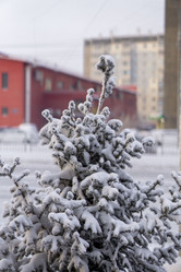 Similar image 21697334