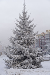 Similar image 21697336