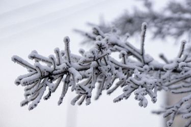 Similar image 21697337